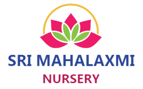 Our-Clients-Mahalaxmi-Nursery-BSIT-Software-Services-Web-And-App-Development-Company-In-India