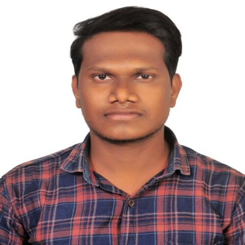 praveenkumar-Application-Developer-at-BSIT-Software-Services-Web-And-App-Development-Company-In-India
